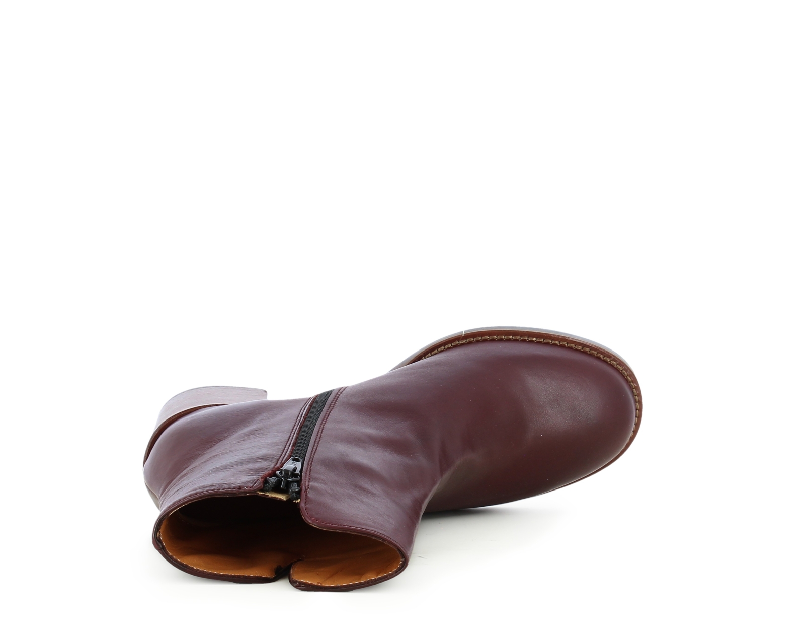 ASTER BORDO