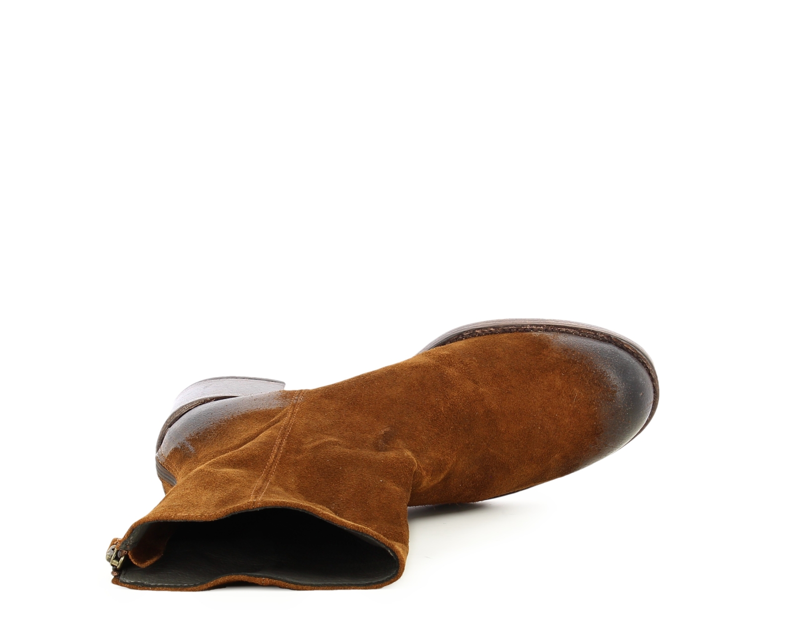 ESTER 01 CAMEL